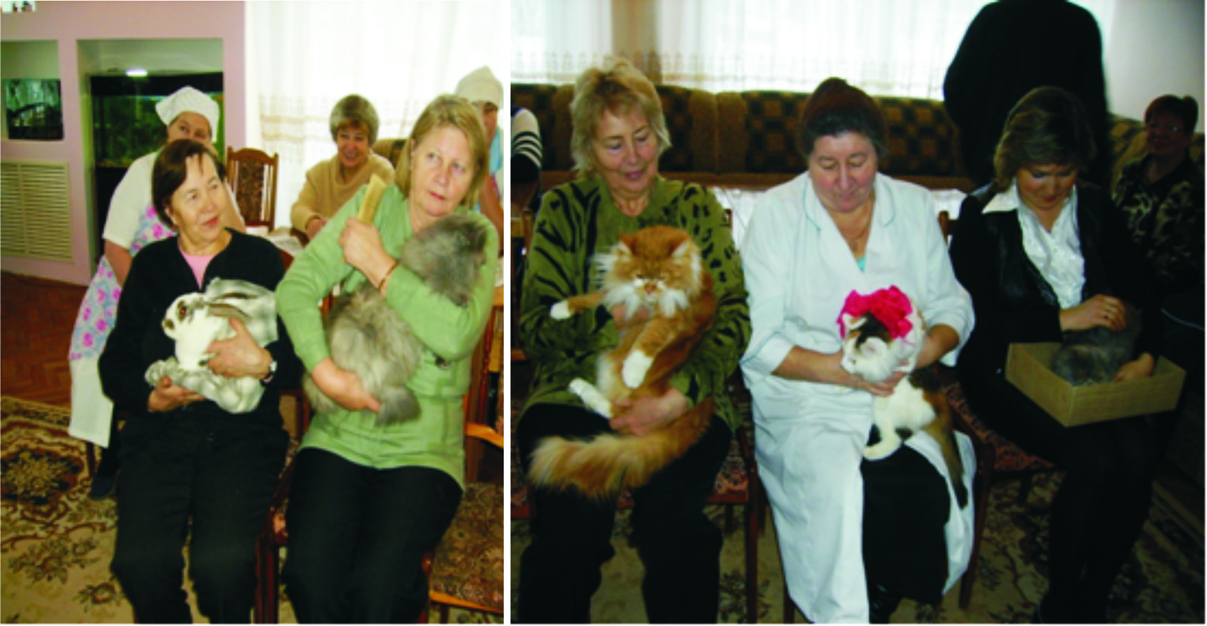 В РГУ «Центр социального обслуживания населения Калининского района г. Чебоксары» состоялась выставка символов наступающего года - кошек